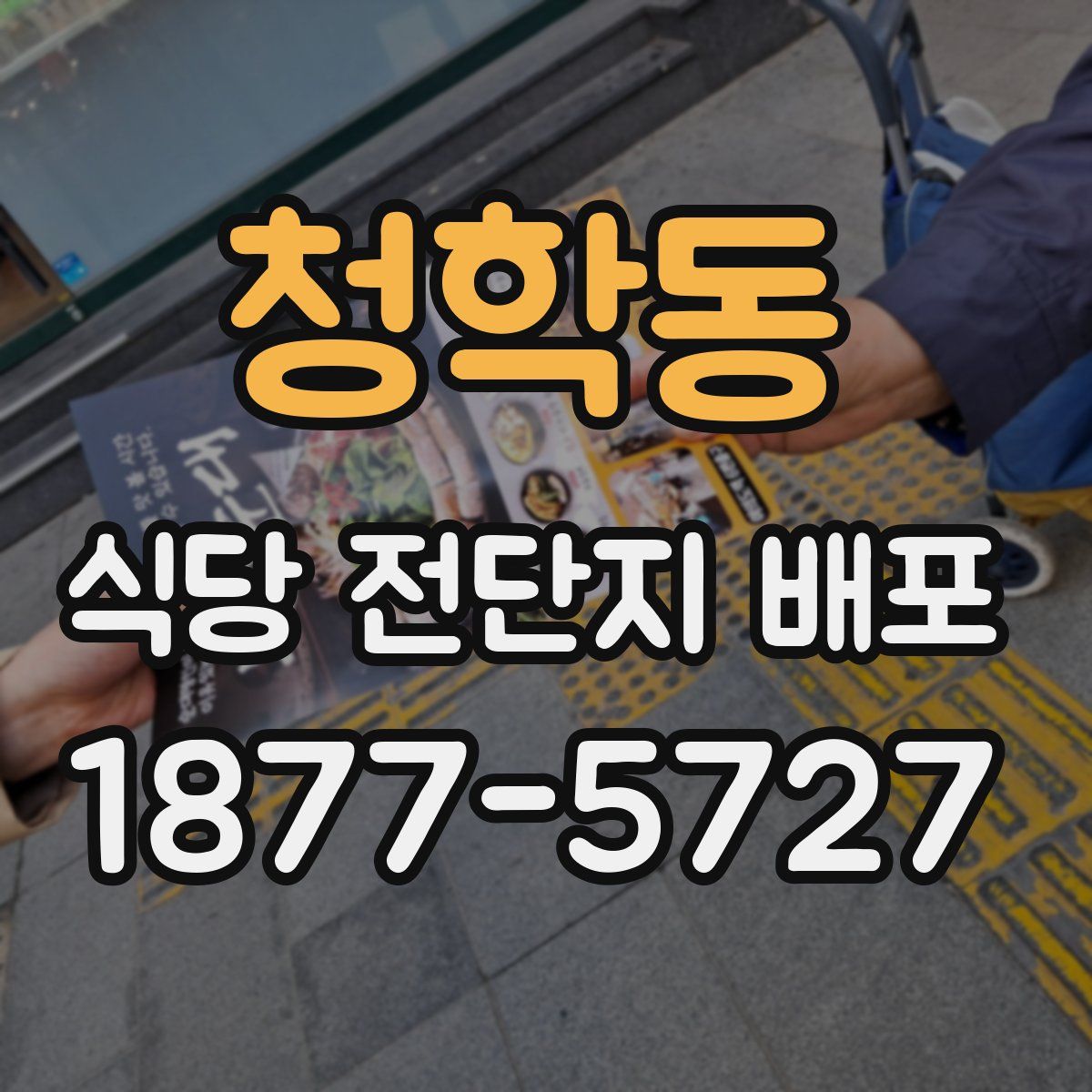 청학동 식당 전단지 배포