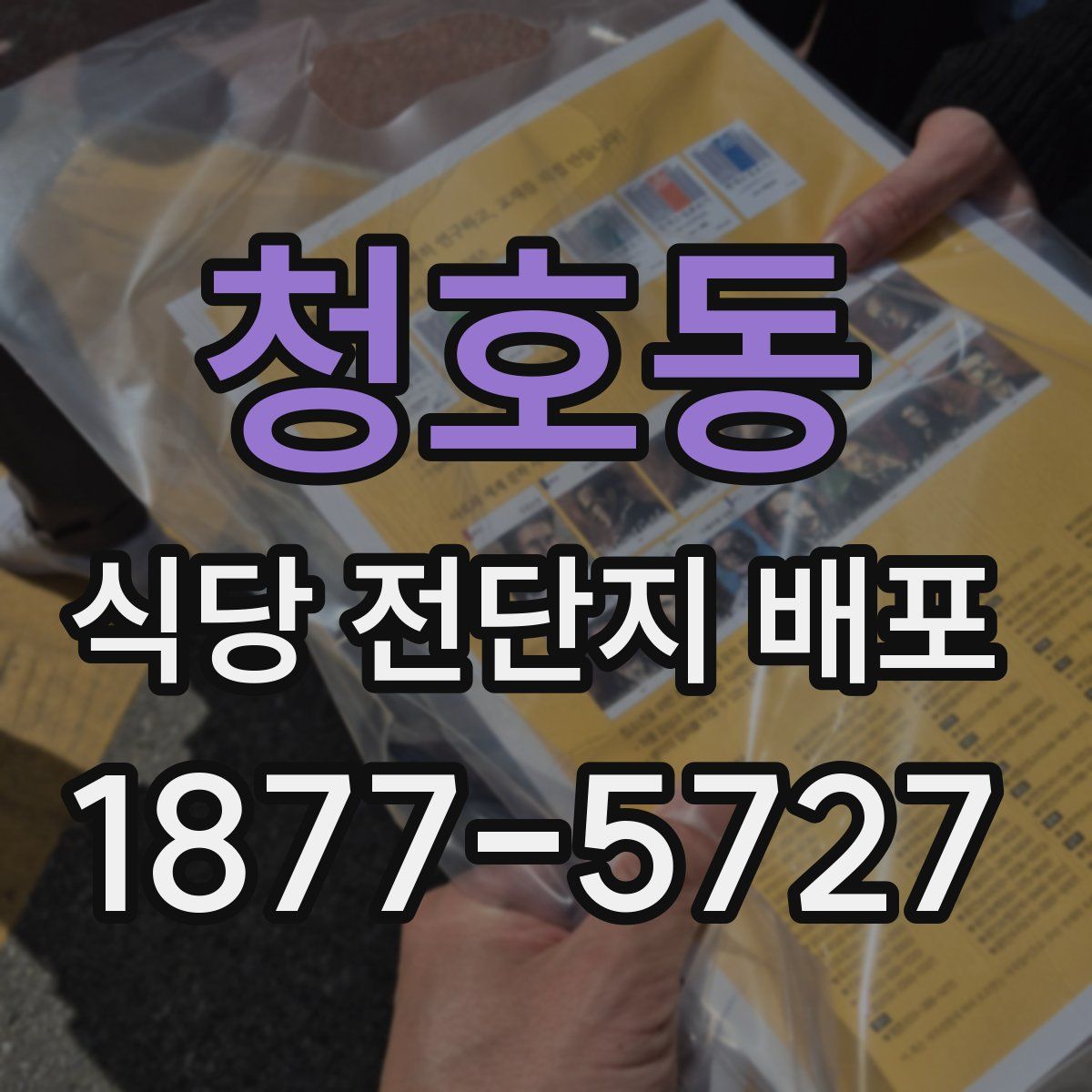청호동 식당 전단지 배포