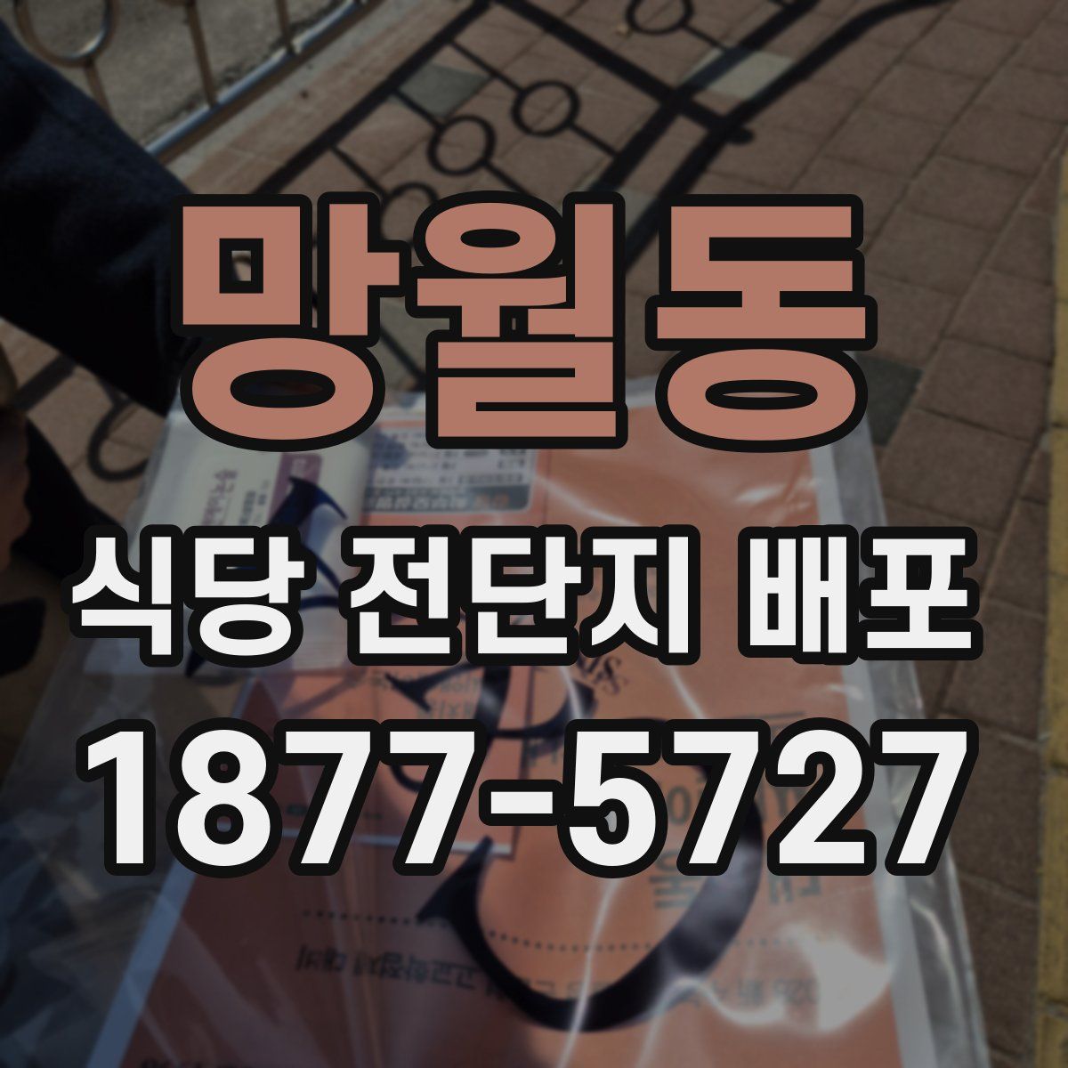 망월동 식당 전단지 배포