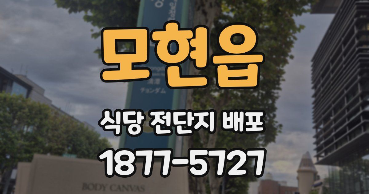 모현읍 식당 전단지 배포