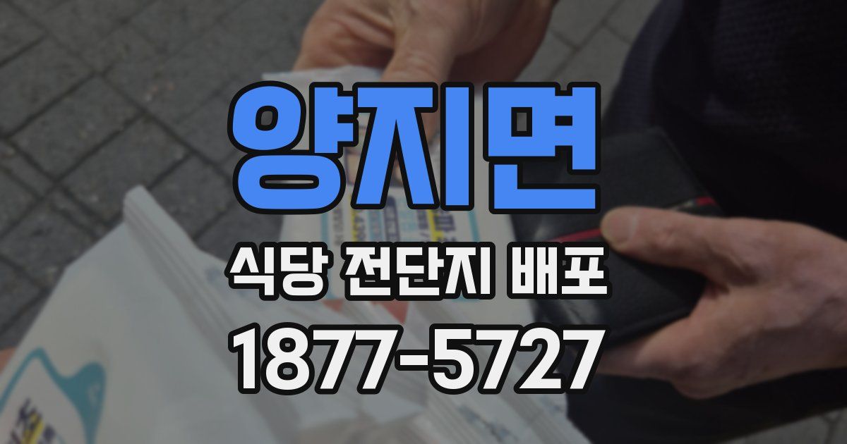 양지면 식당 전단지 배포