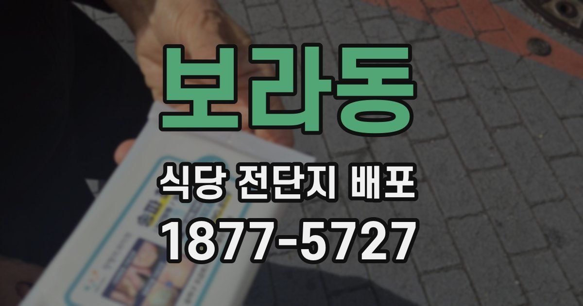 보라동 식당 전단지 배포
