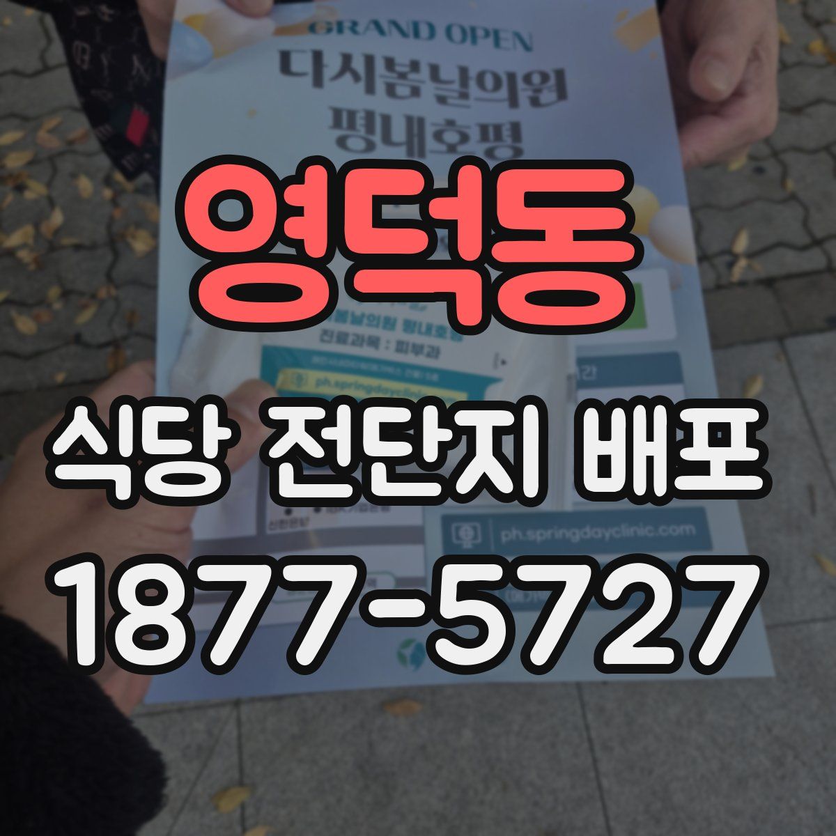 영덕동 식당 전단지 배포