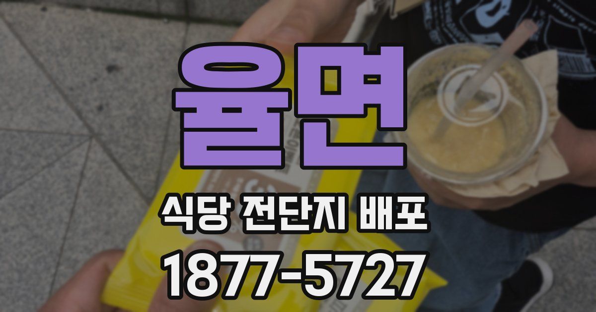율면 식당 전단지 배포