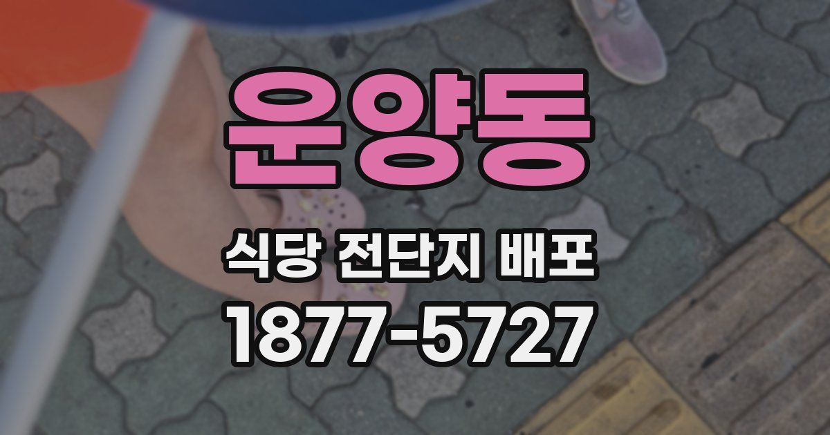운양동 식당 전단지 배포