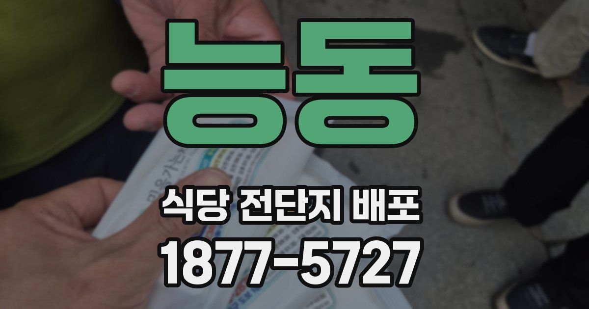 능동 식당 전단지 배포