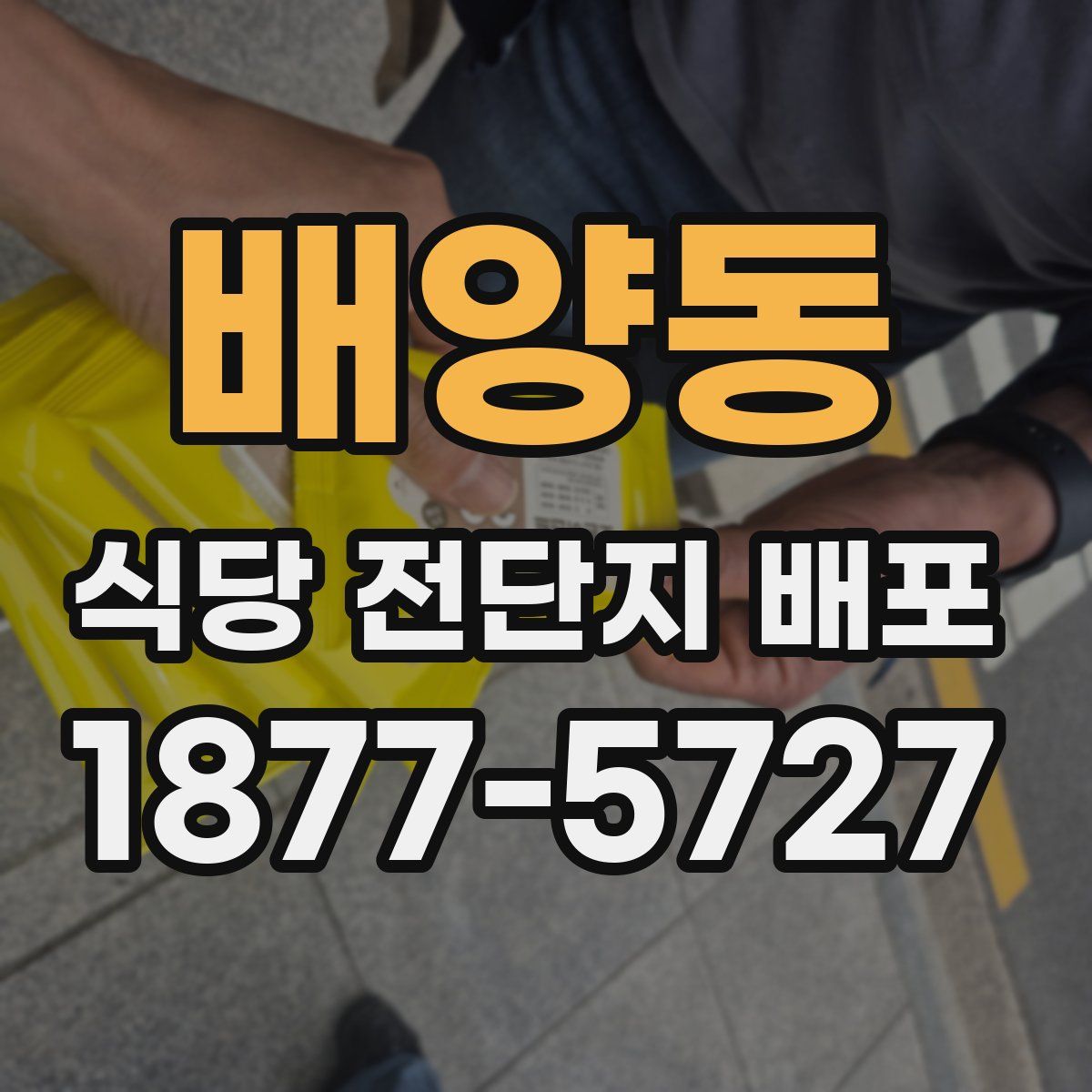 배양동 식당 전단지 배포