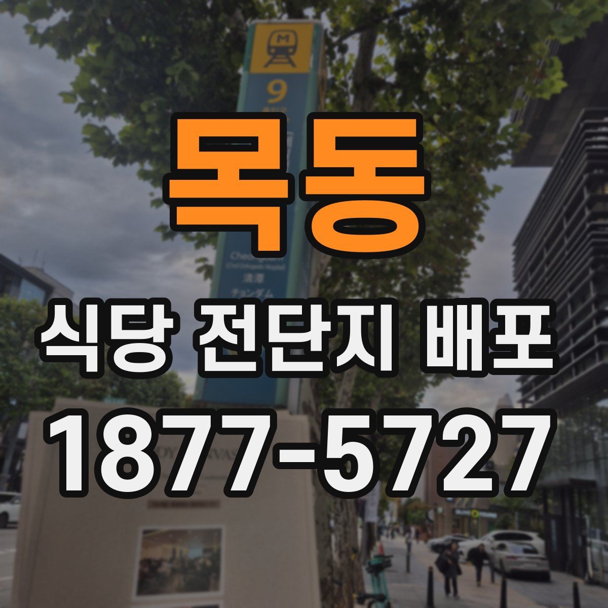 목동 식당 전단지 배포