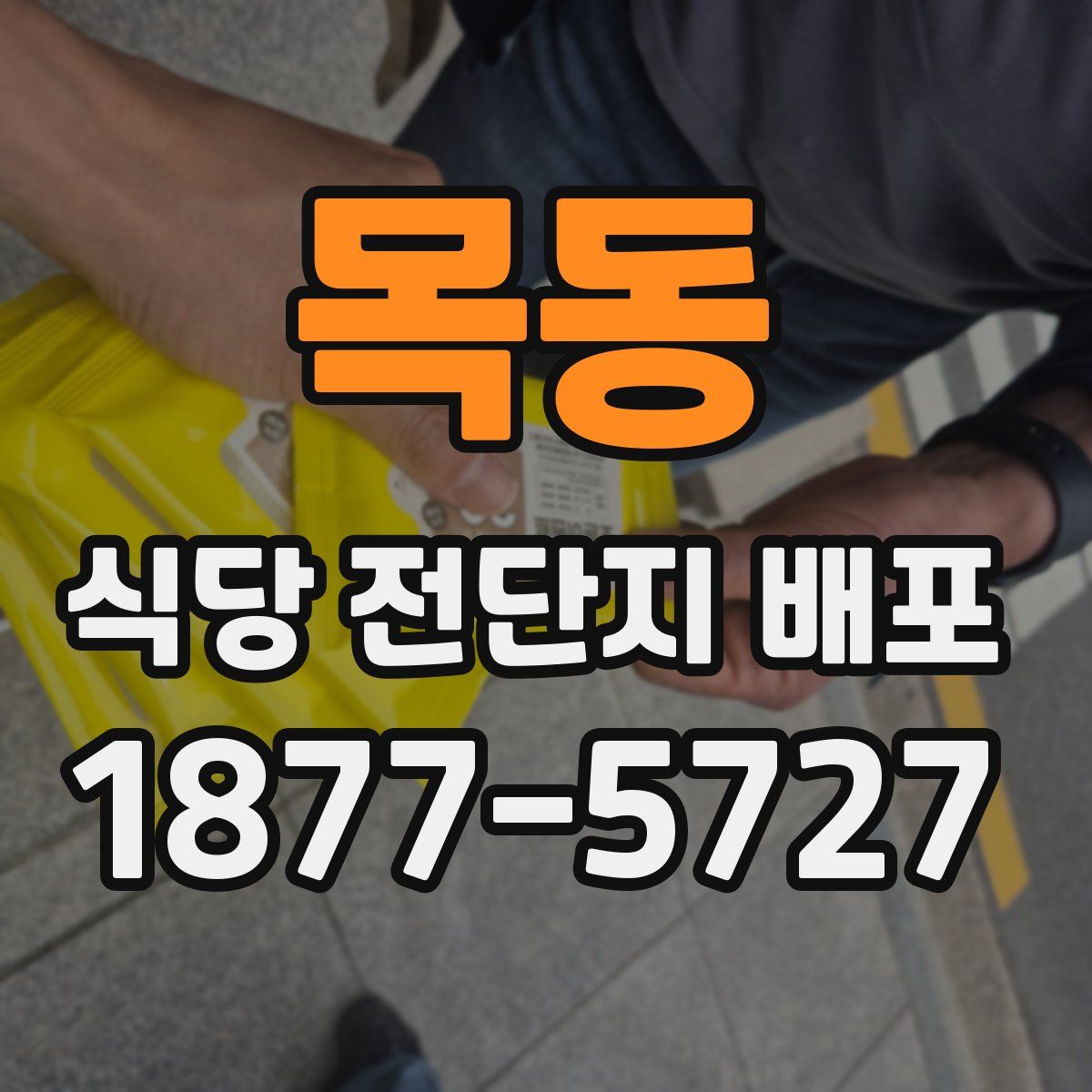 목동 식당 전단지 배포