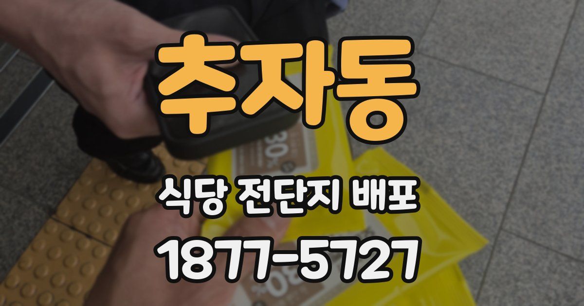 추자동 식당 전단지 배포