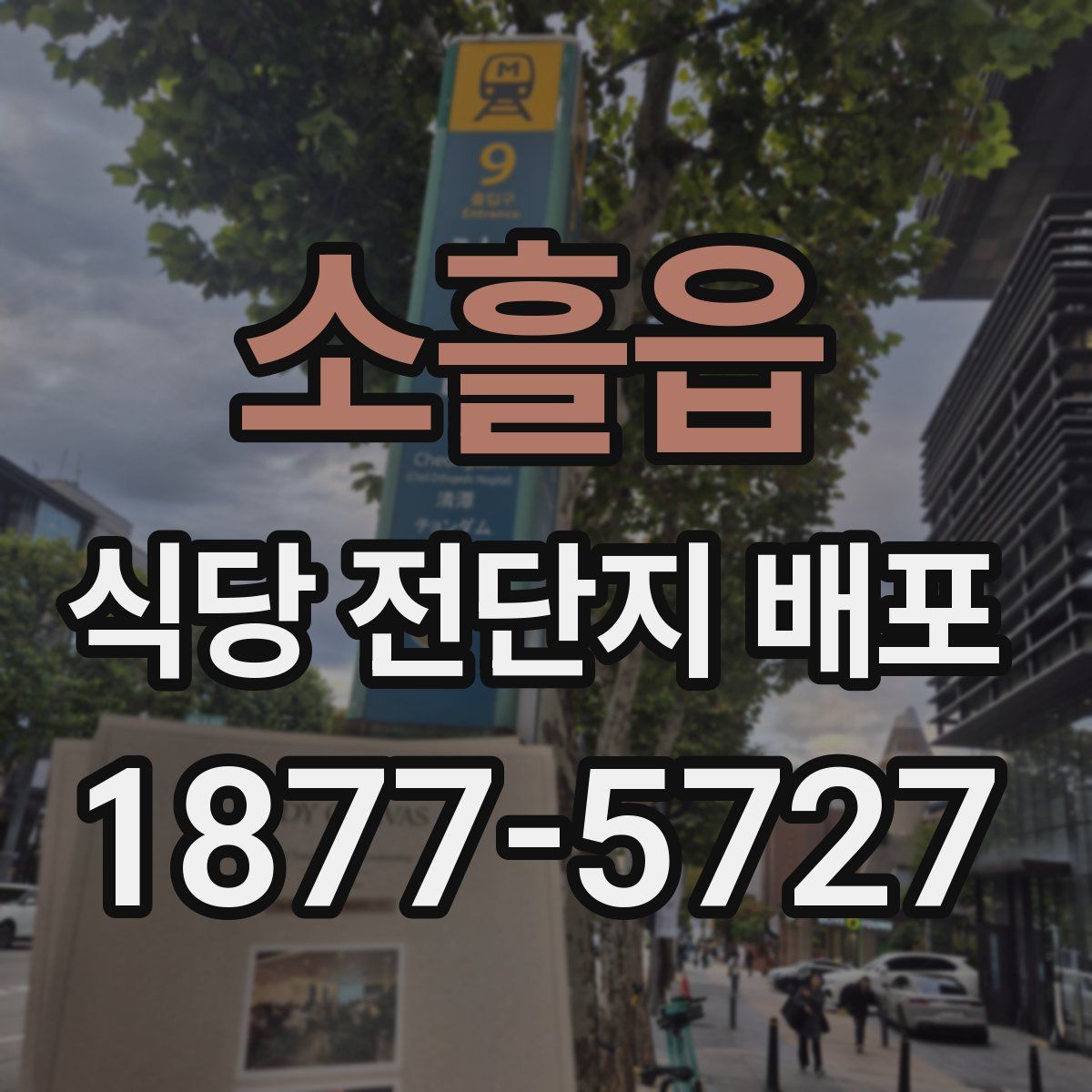 소흘읍 식당 전단지 배포