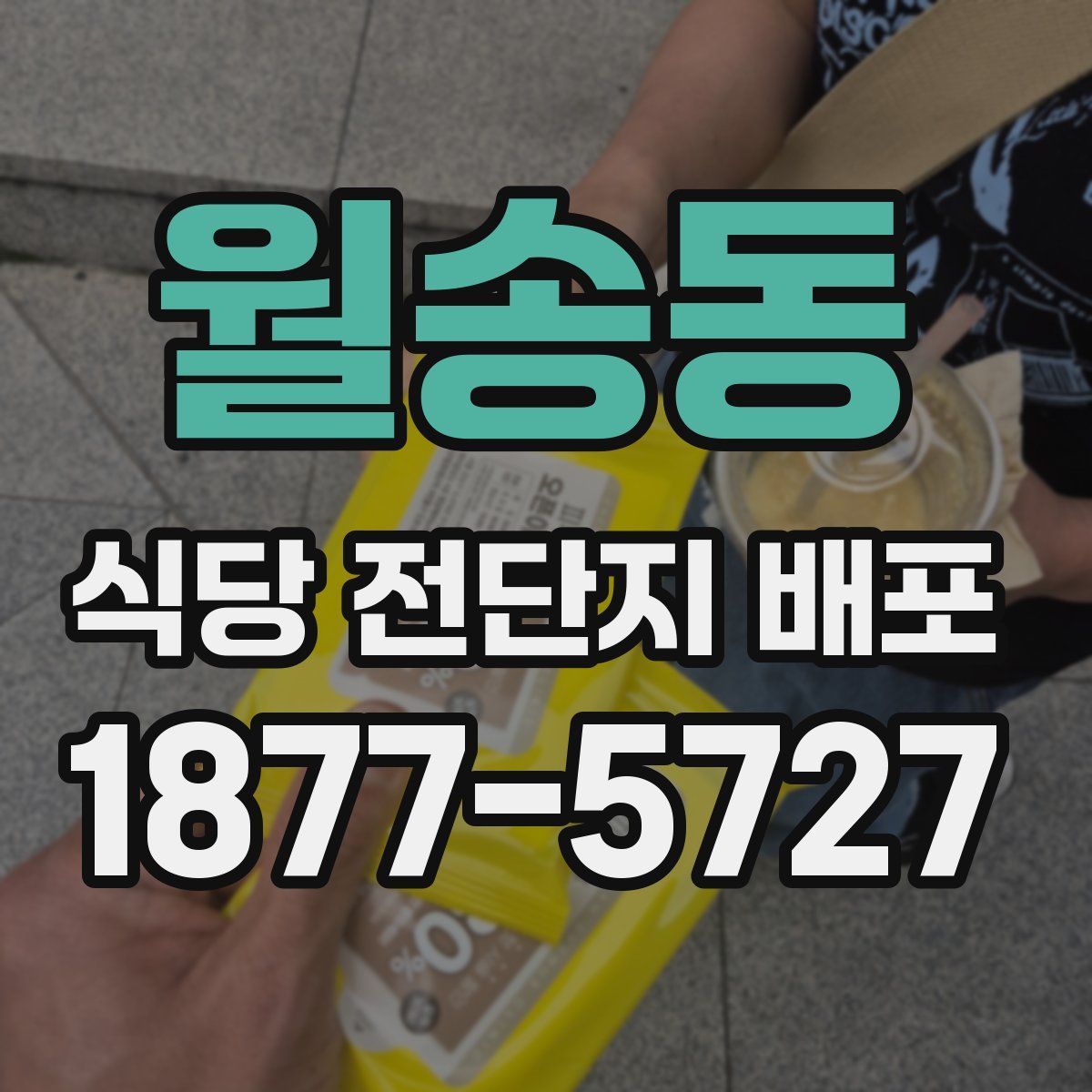 월송동 식당 전단지 배포