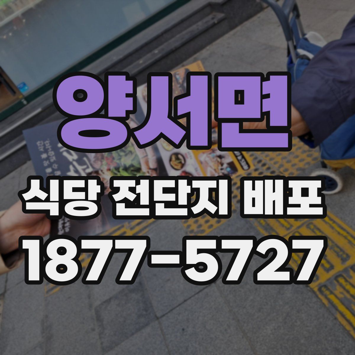 양서면 식당 전단지 배포