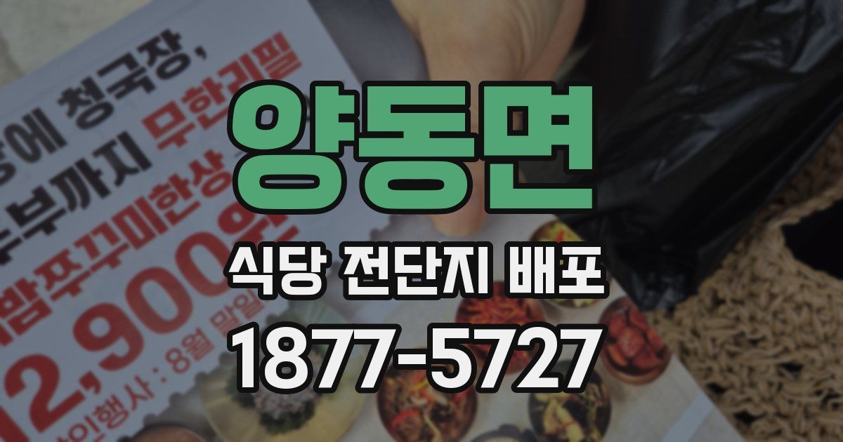 양동면 식당 전단지 배포