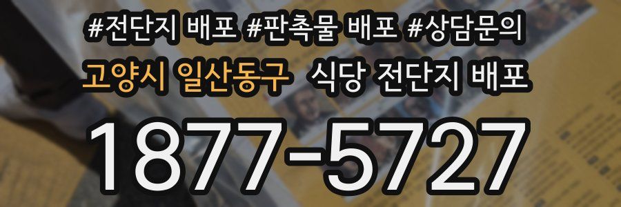 고양시 일산동구 식당 전단지 배포