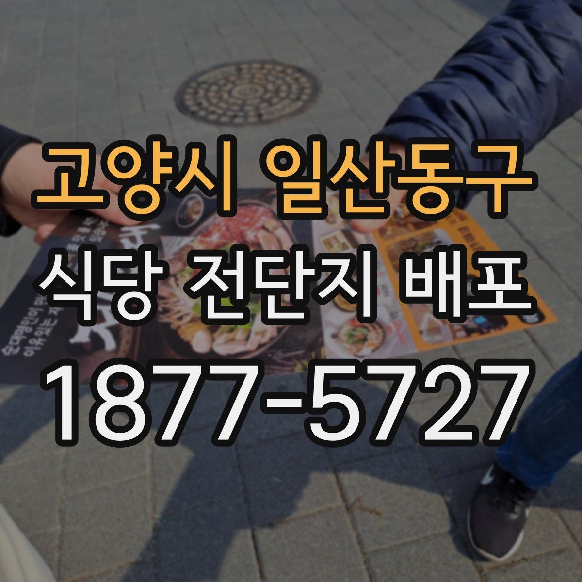 고양시 일산동구 식당 전단지 배포