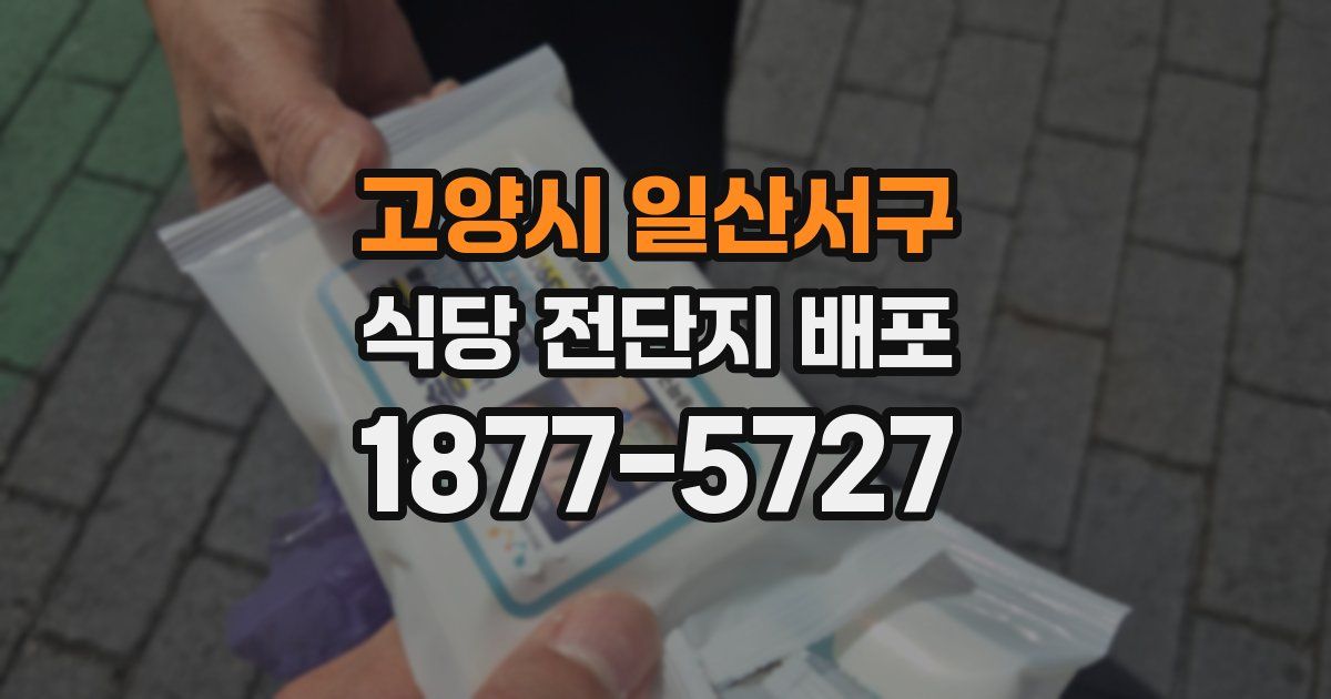 고양시 일산서구 식당 전단지 배포
