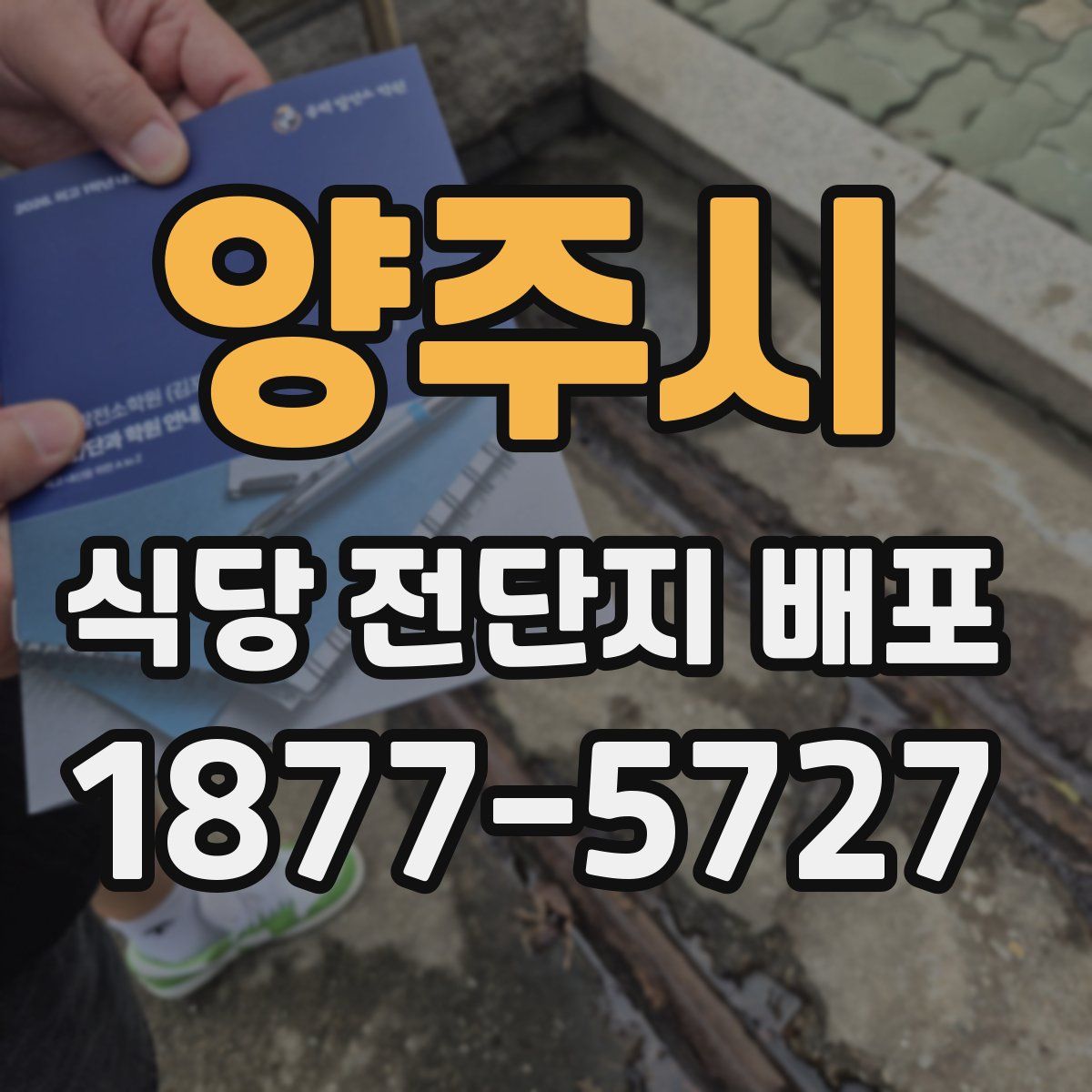 양주시 식당 전단지 배포