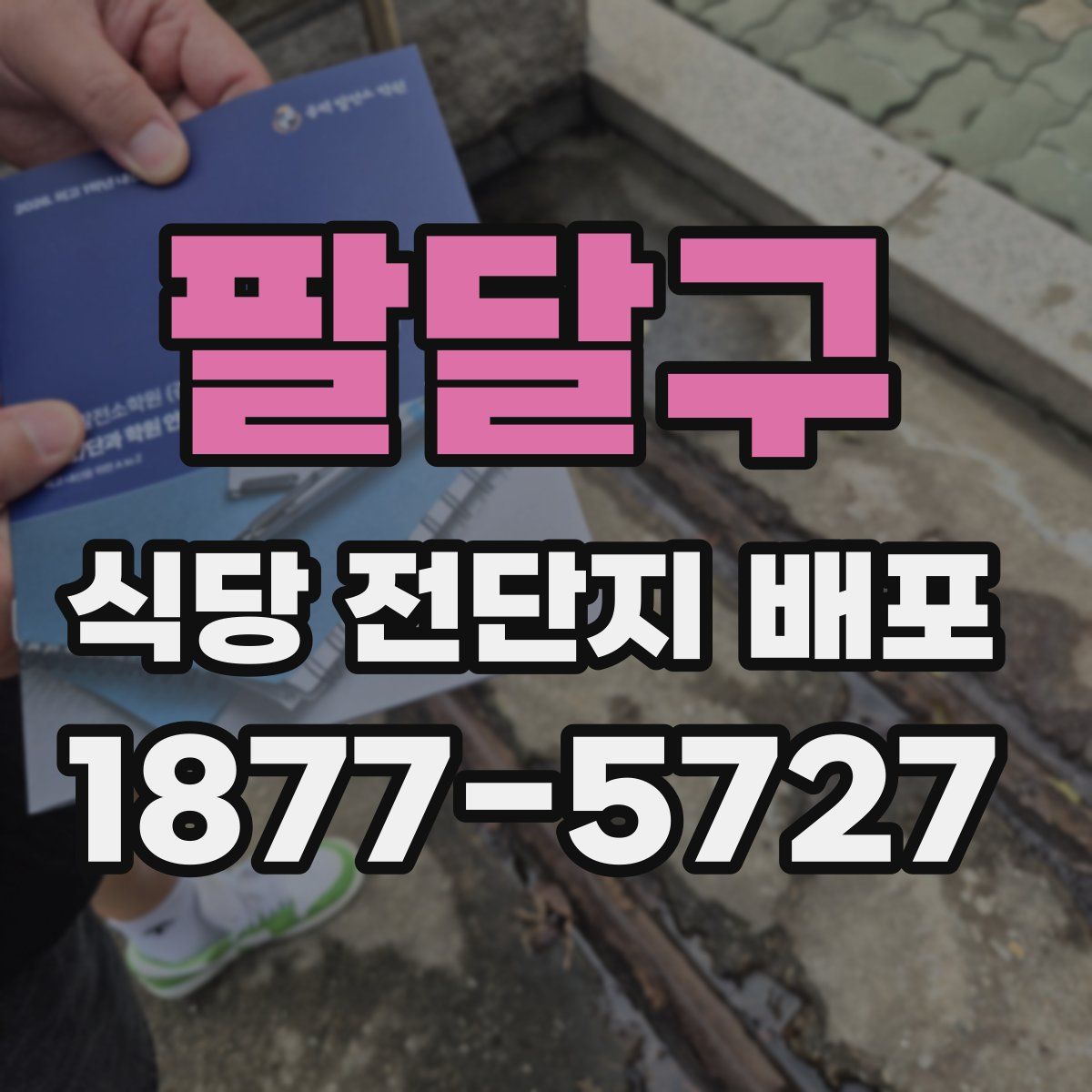 팔달구 식당 전단지 배포