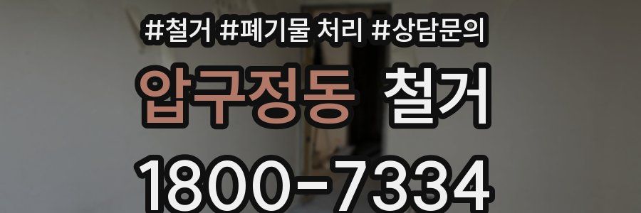 압구정동 철거