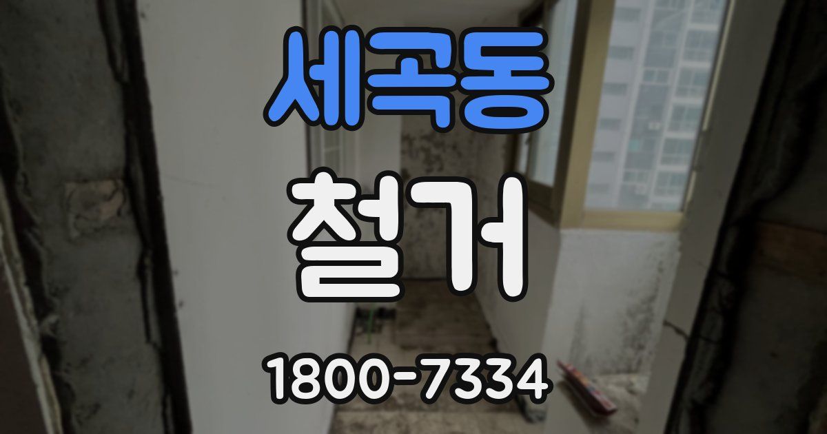 세곡동 철거