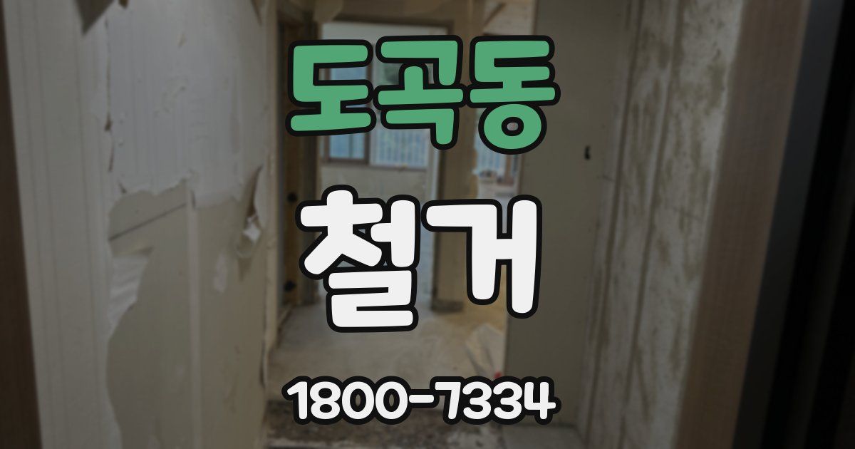 도곡동 철거