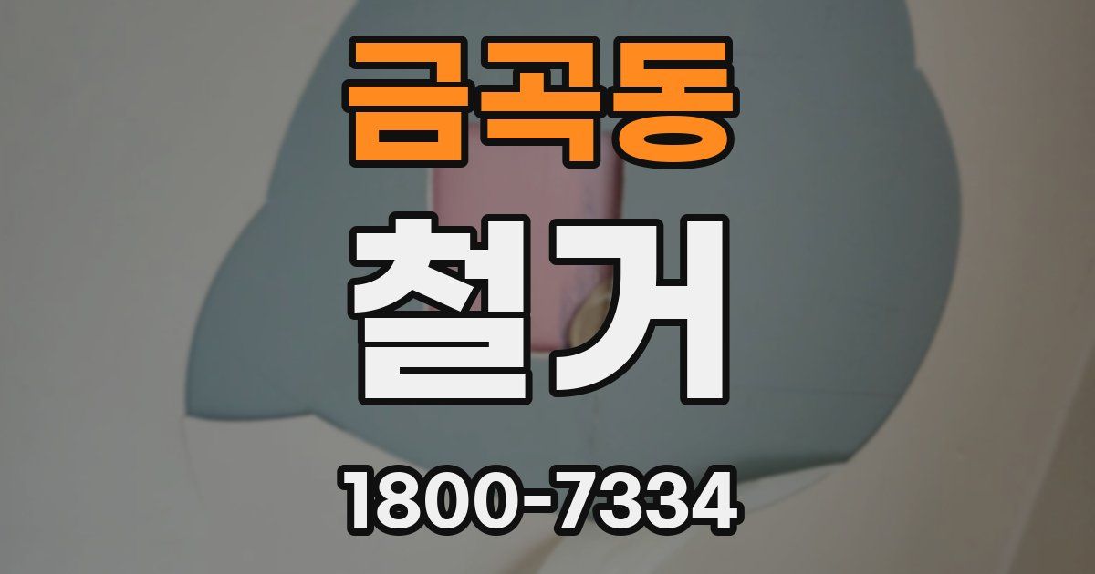 금곡동 철거