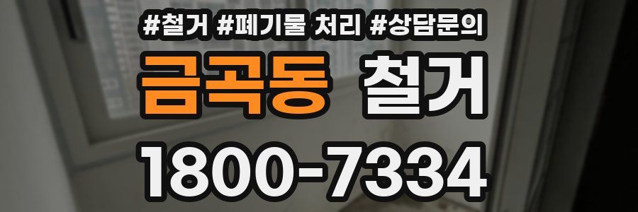 금곡동 철거