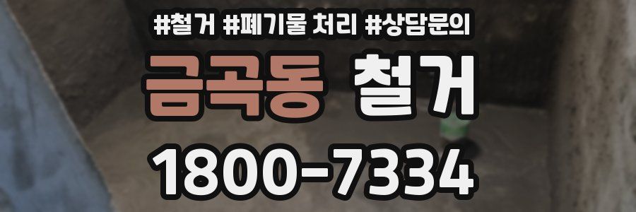 금곡동 철거