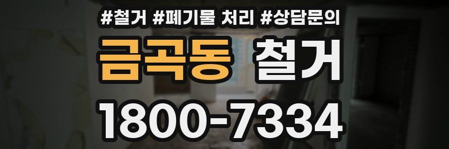 금곡동 철거
