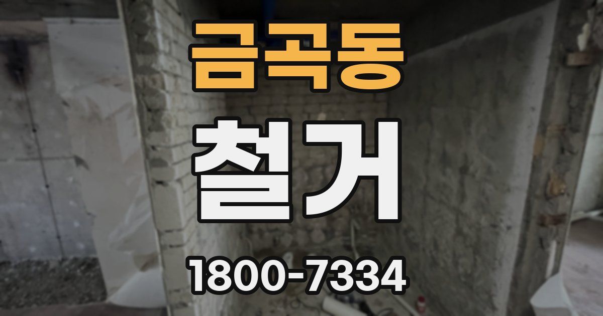 금곡동 철거