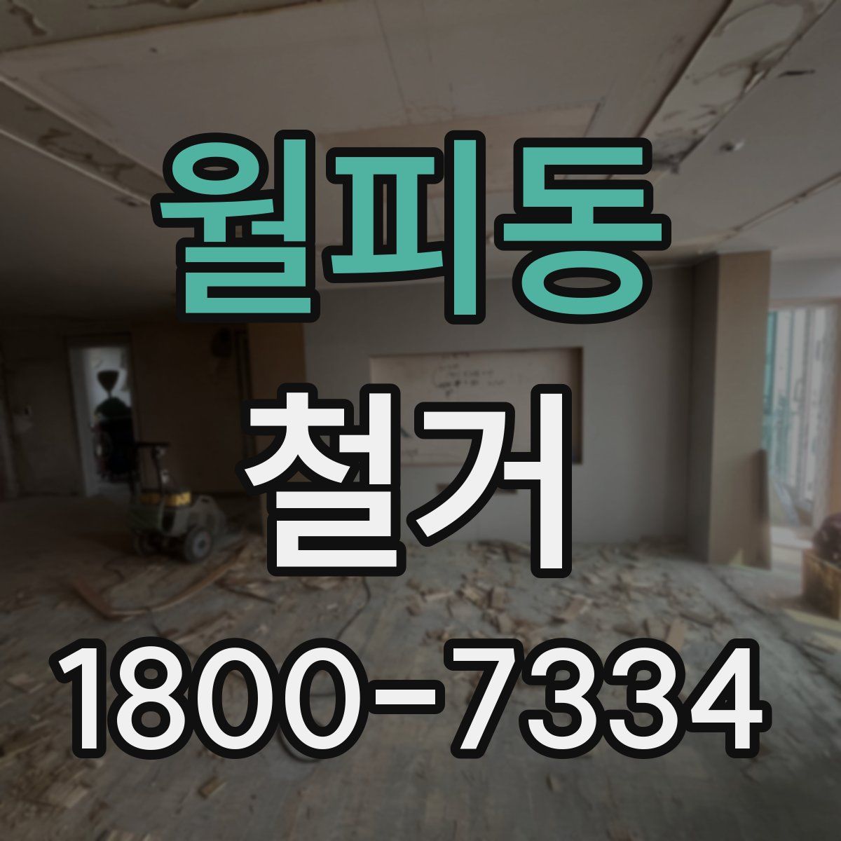 월피동 철거