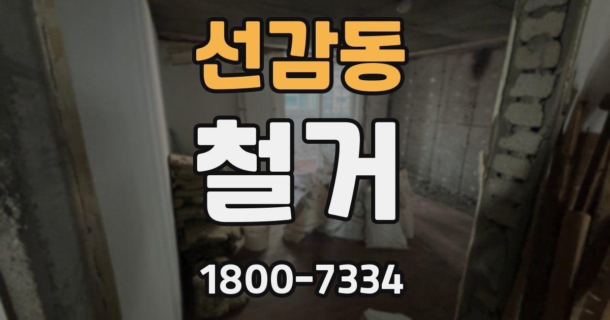 선감동 철거