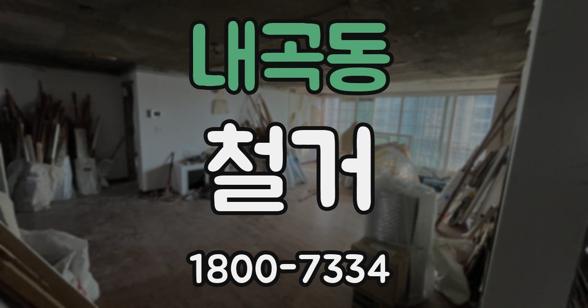 내곡동 철거