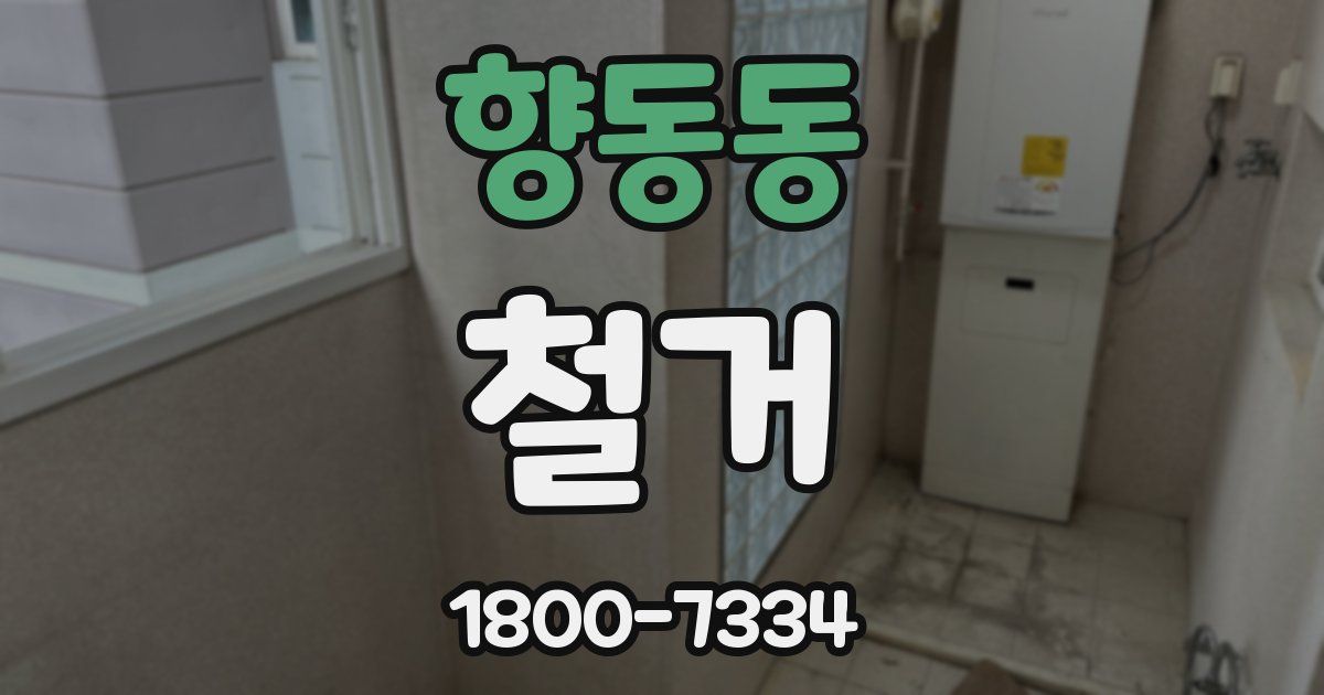 향동동 철거