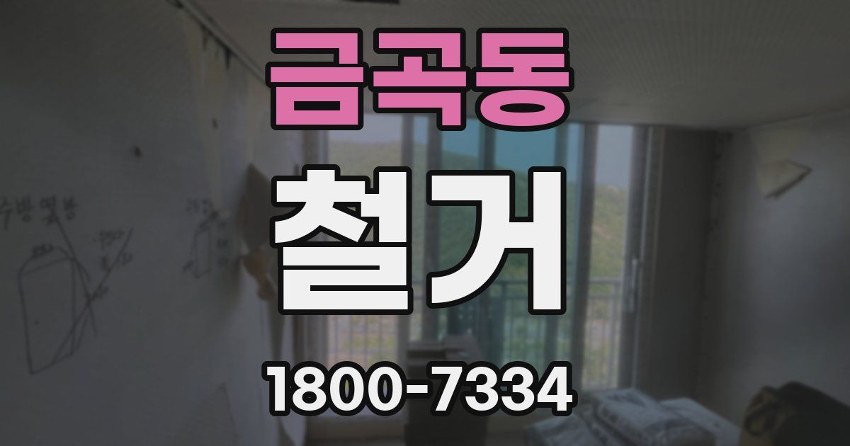 금곡동 철거