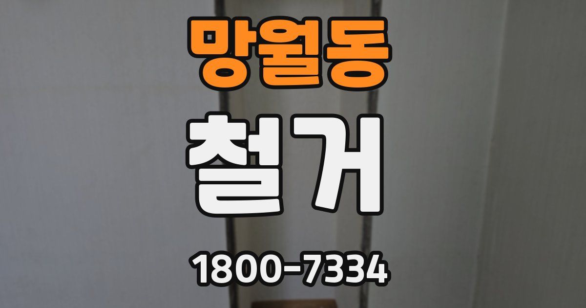 망월동 철거
