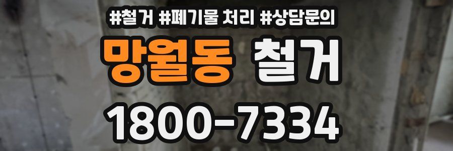 망월동 철거