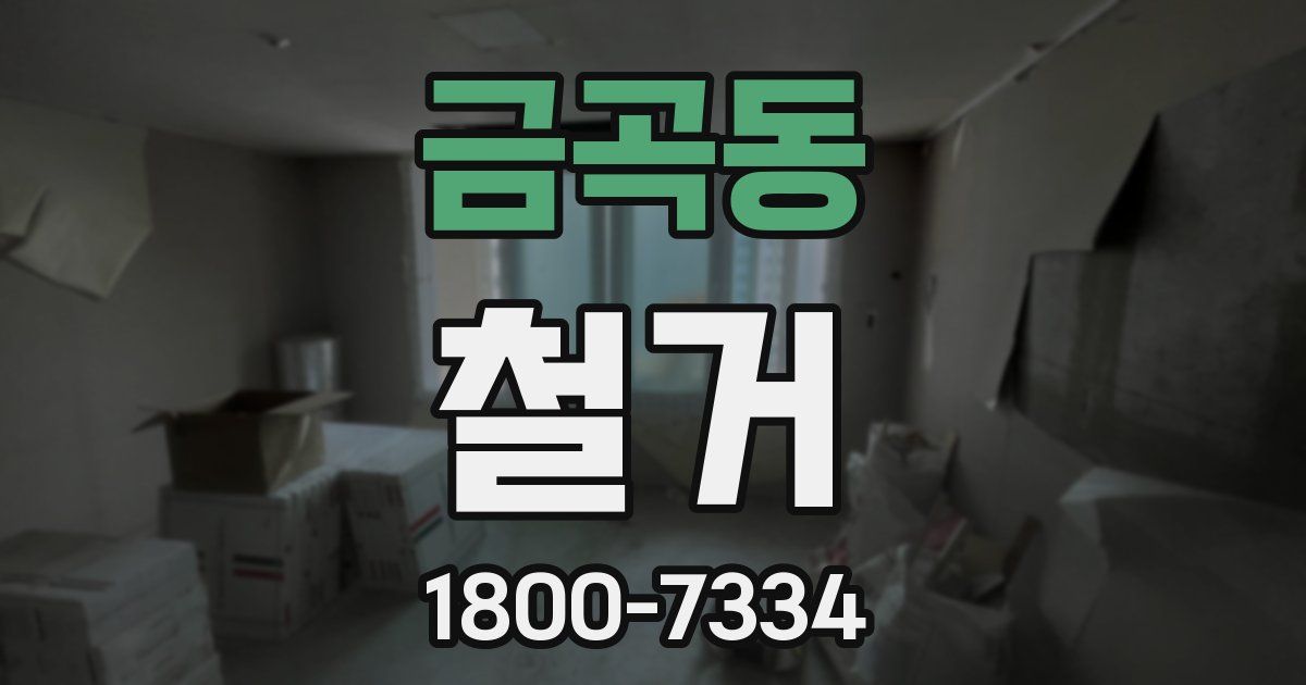 금곡동 철거