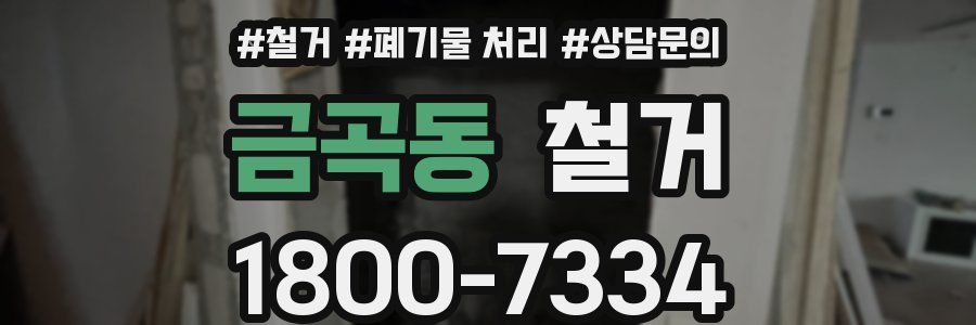 금곡동 철거
