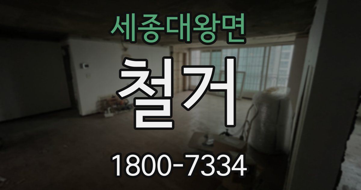 세종대왕면 철거