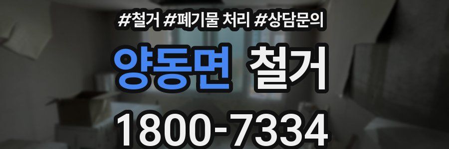 양동면 철거