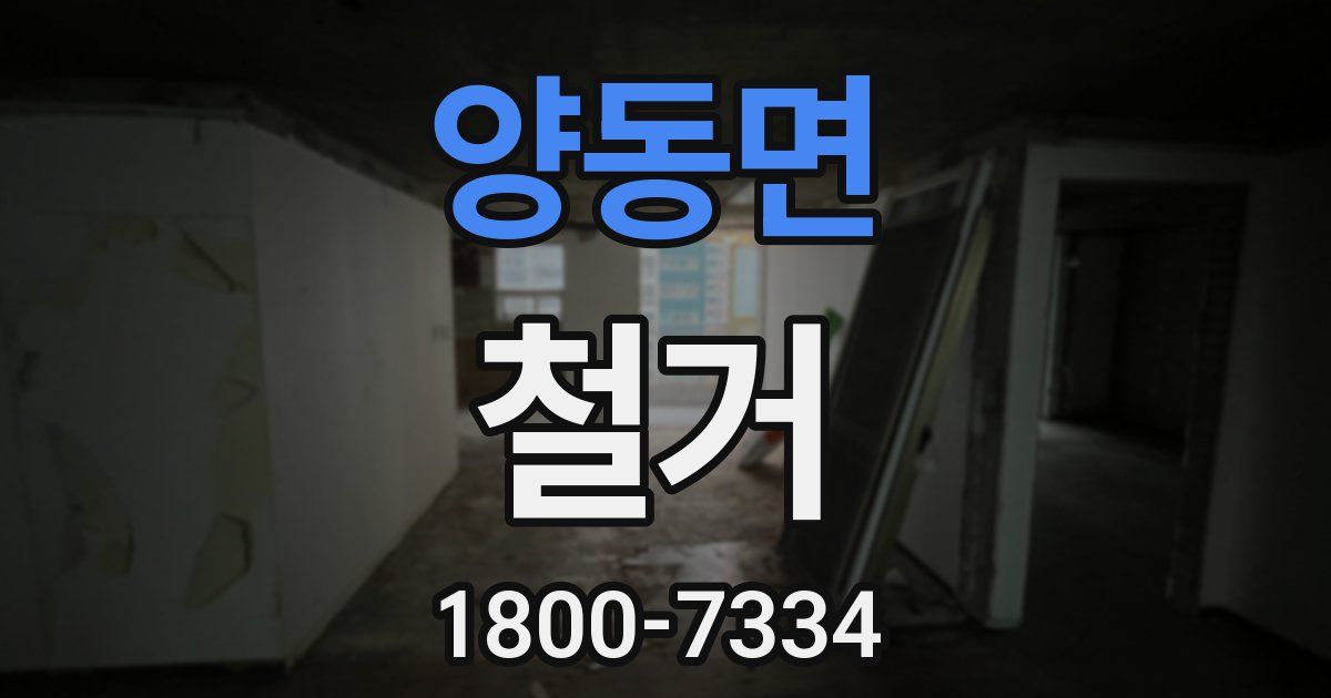 양동면 철거