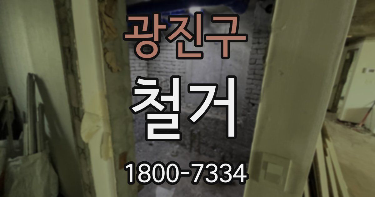 광진구 철거