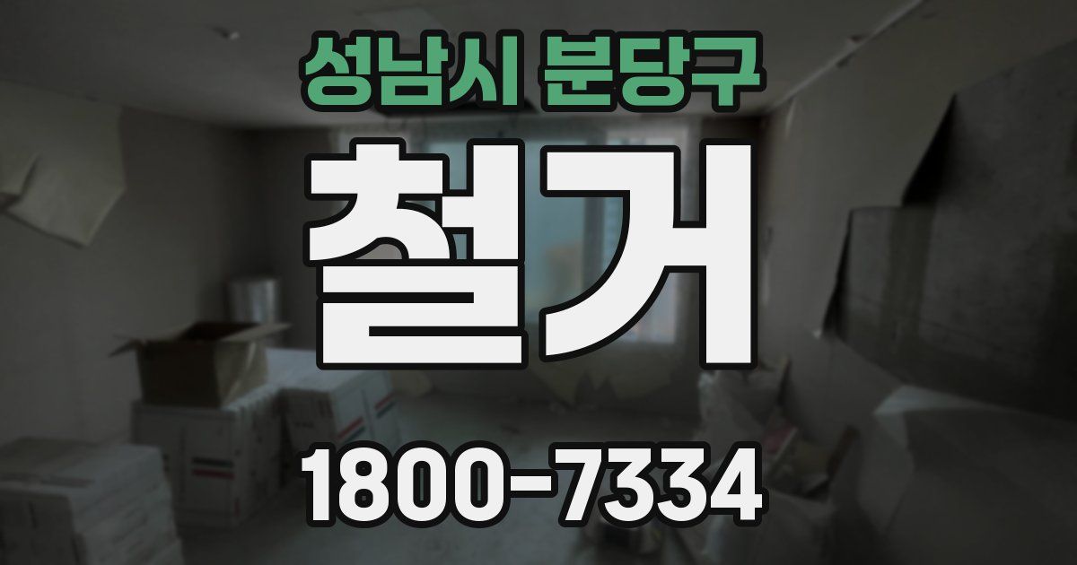 성남시 분당구 철거
