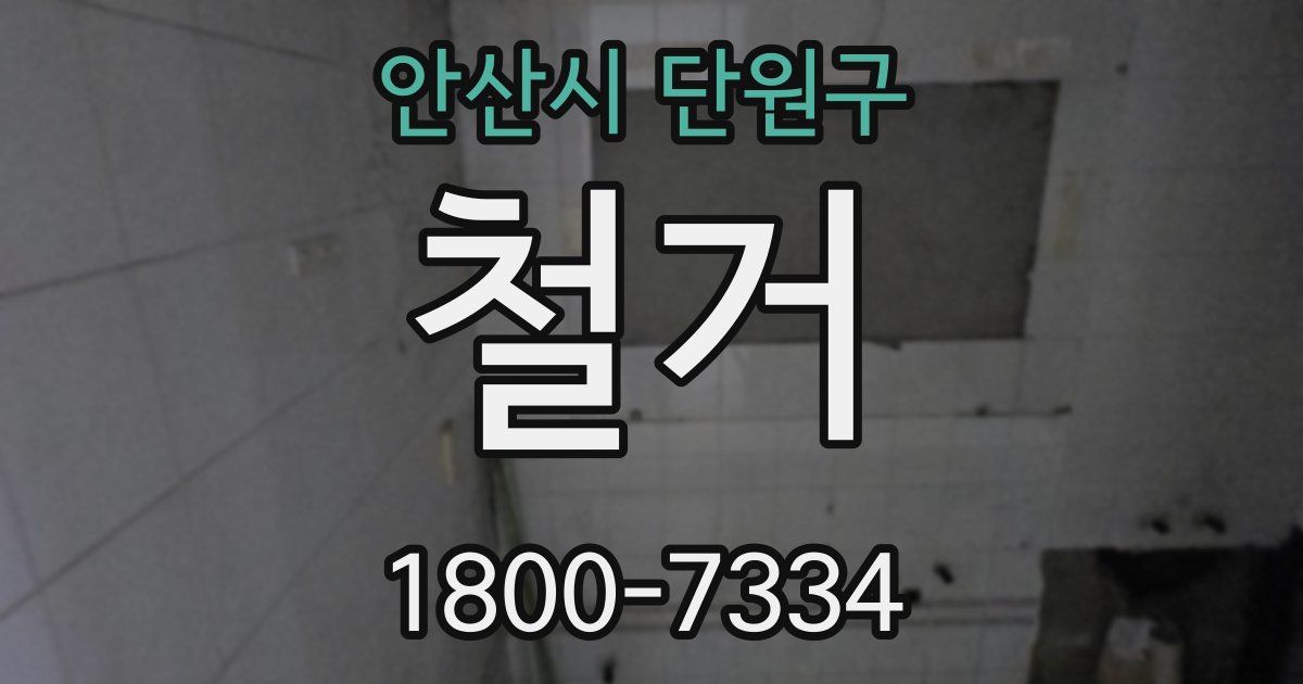 안산시 단원구 철거