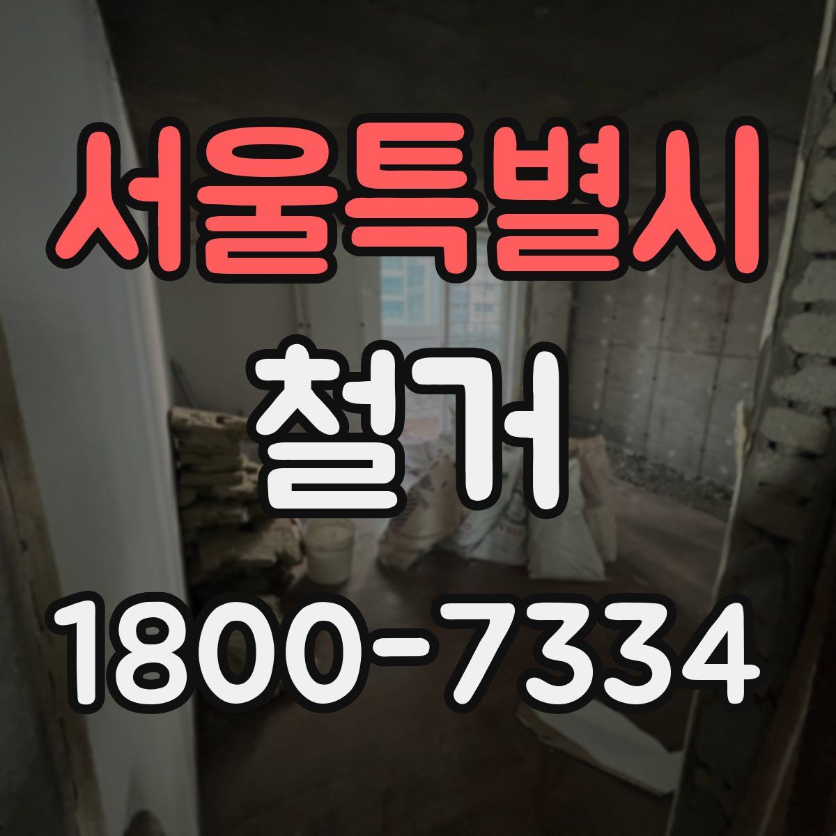 서울특별시 철거