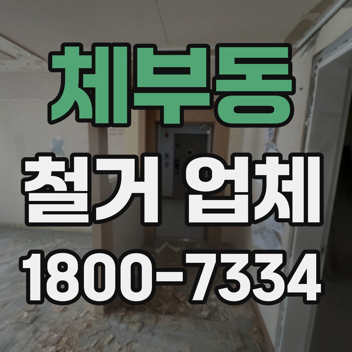 체부동 철거 업체