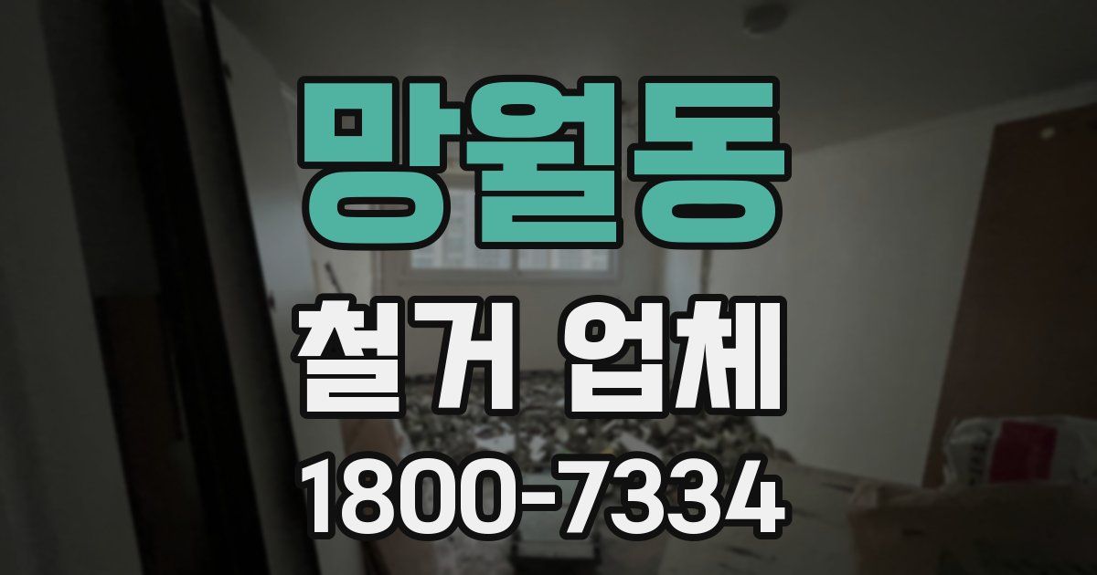 망월동 철거 업체