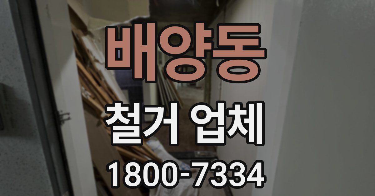 배양동 철거 업체